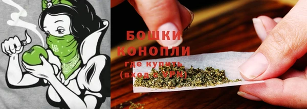таблы Бородино