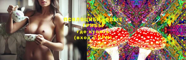таблы Бородино