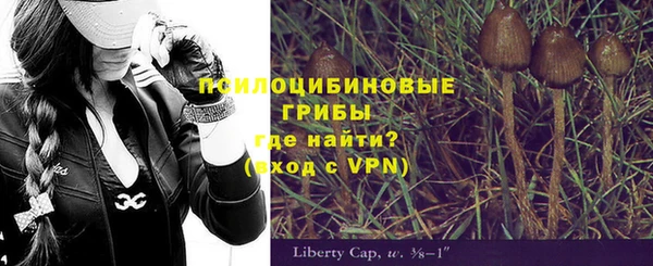 таблы Бородино