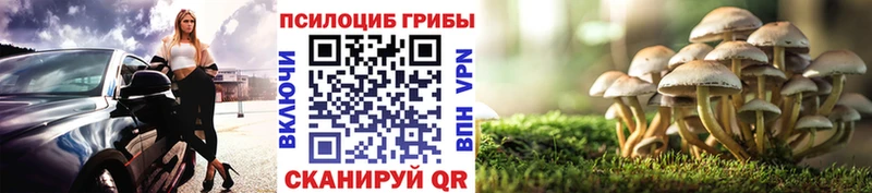 blacksprut онион  Волоколамск  Псилоцибиновые грибы Psilocybe 