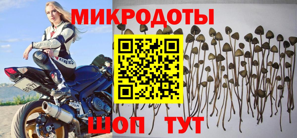 Бошки Шишки Волоколамск