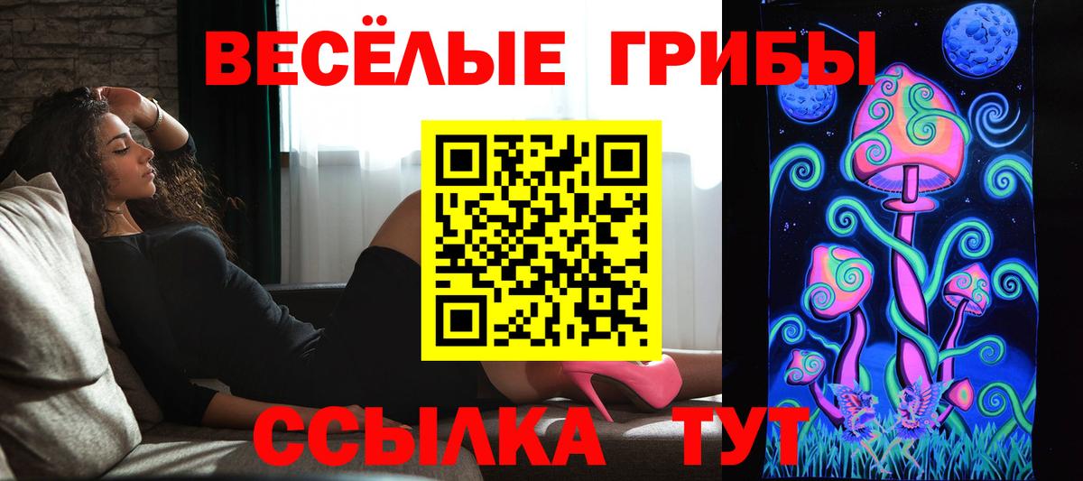 Галлюциногенные грибы GOLDEN TEACHER  Галлюциногенные грибы ЛСД  Волоколамск  Вход с VPN 