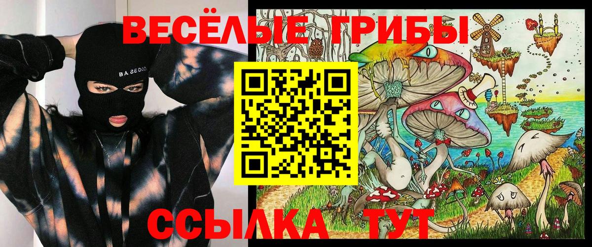 Псилоцибиновые грибы ЛСД Волоколамск